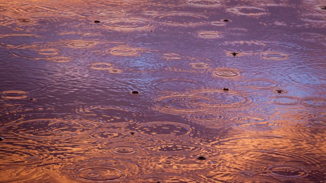 30-day-blogging-challenge